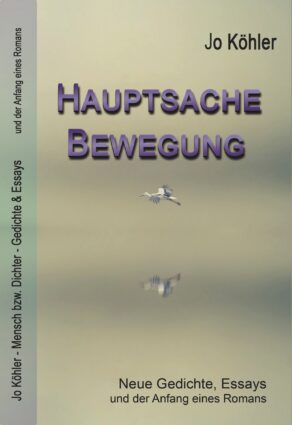Umschlag des Buches "Hauptsache Bewegung" von Jo Köhler. Zwei Vögel fliegen vor unscharfem, beigen Grund.