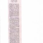 Artikel über die Junge Hildesheimer Schreibschule